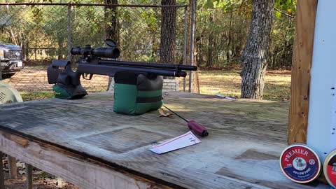 Semi Auto Marauder Pellet Testing