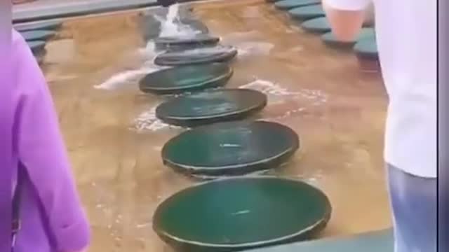 Try Not To Laugh | Funny video