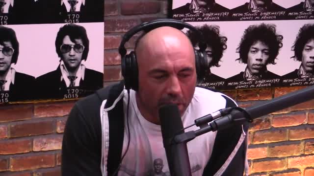 Joe Rogan Experience #877 - Jordan Peterson