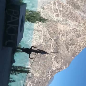 Can you find anything beautiful than this ?