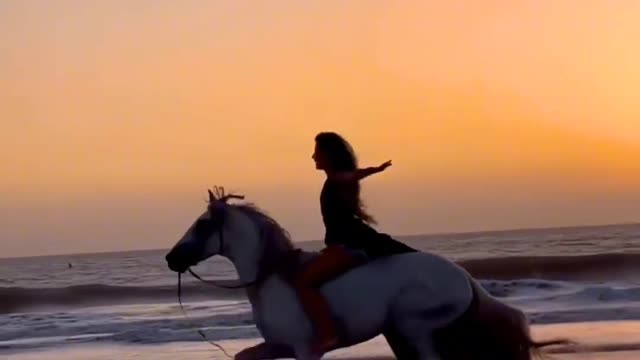 kindness, ride the wind and waves in the long river of time, not afraid of the future,
