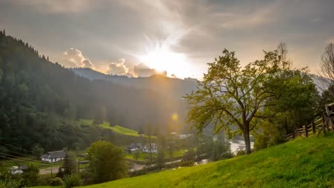 8k video of nature footage