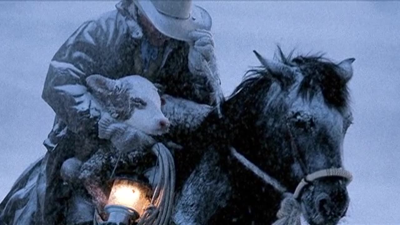 Cowboy Ethics in Denver High School