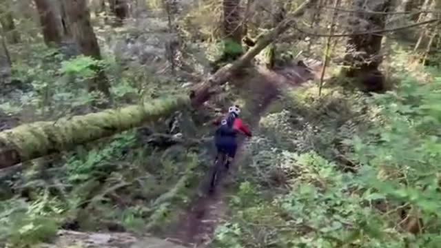 New video with the legend Brett Tippie this thursday at 8am pst! #youtube #mtb #northshore