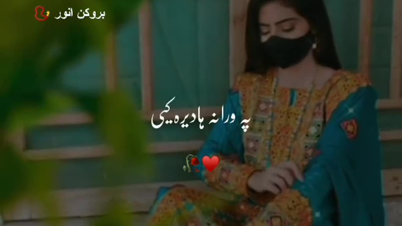 Pashto song & dance video