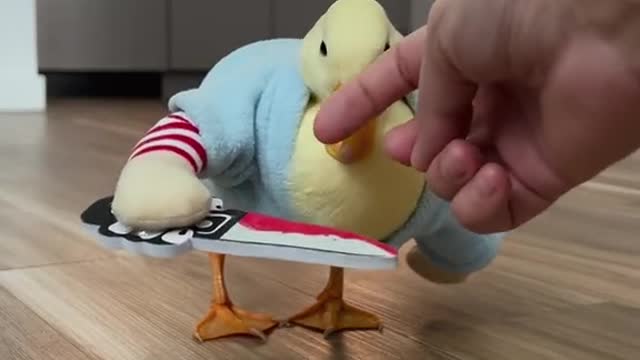 Trying to pet my ducky...