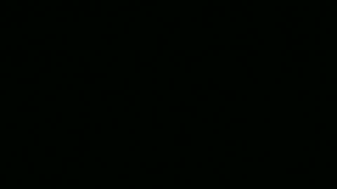 The Truth 💪💪👊 pt 1