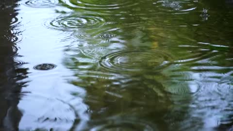 Rain falling on the water of a lake seen up close