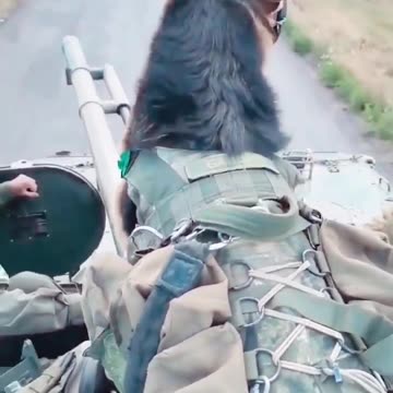 Ruské jednotky postupují na Bachmut i se svými druhy ve zbrani