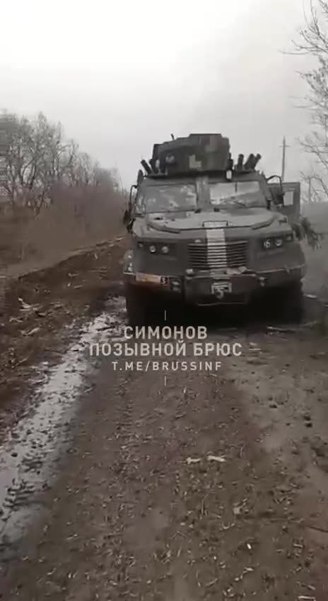 Khokhols swept away after meeting with the Musicians