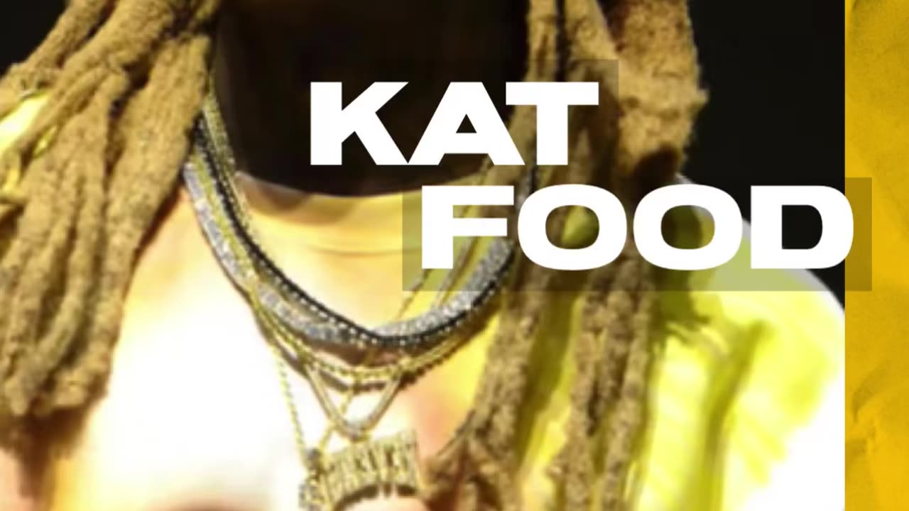 #NewMusic Listen to a clip of @liltunechi - “Kat Food