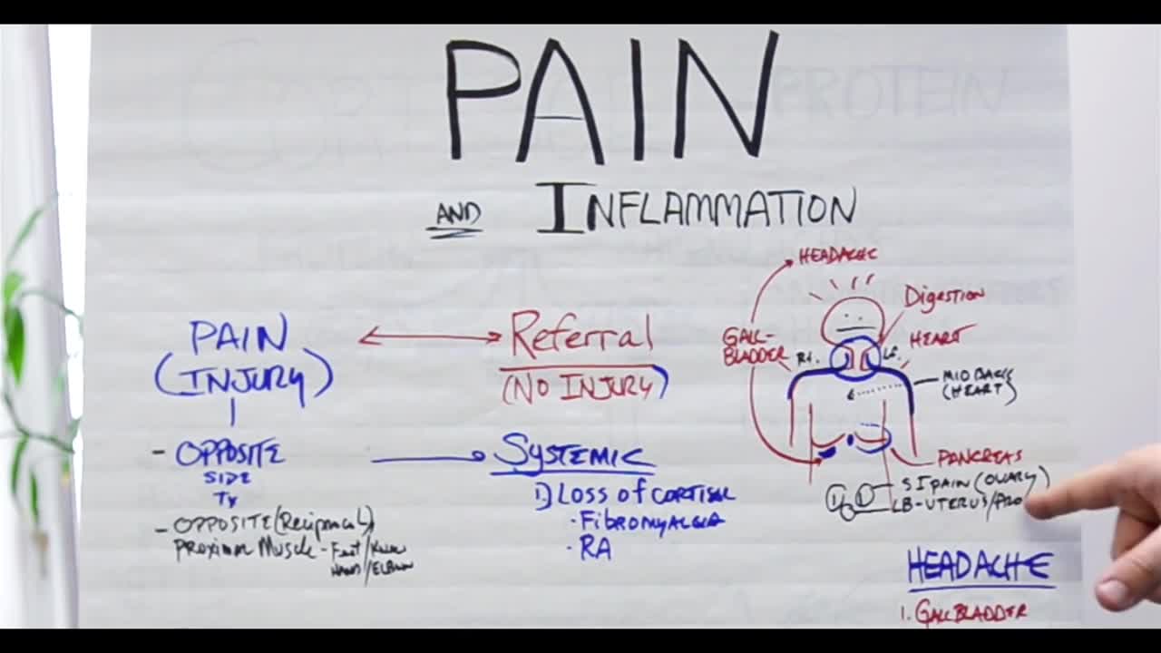 DrBerg-Deeper Causes Of Pain and Inflammation