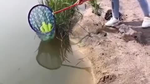 Amazing Rural Fishing Video