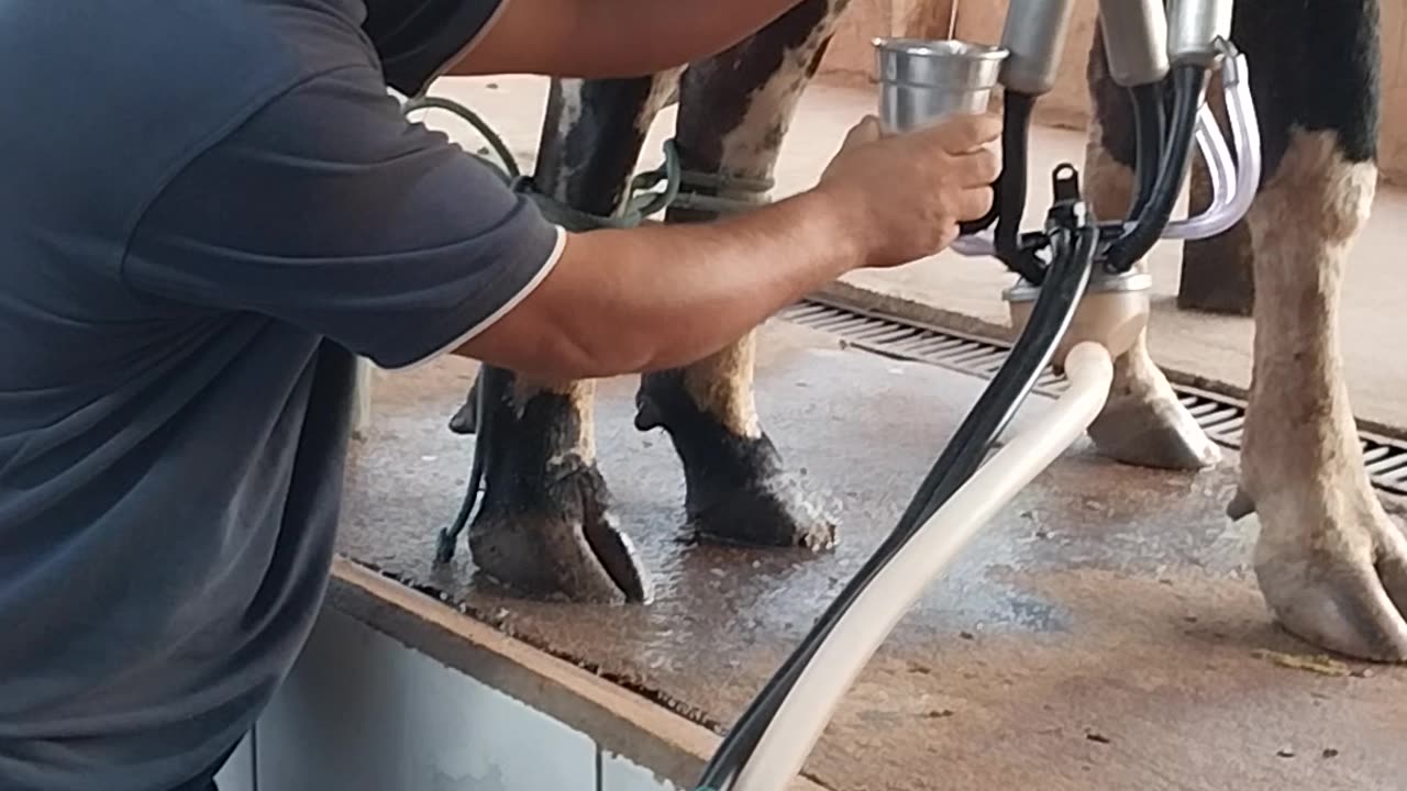 Fazenda