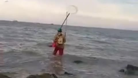 This is a beautiful and charming water-dwelling species