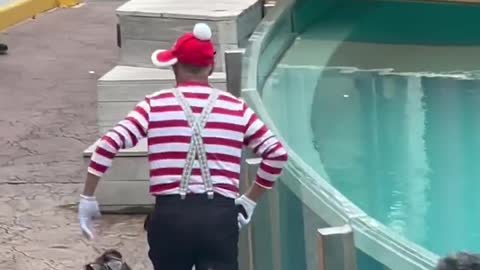 Funny Video - Gotcha