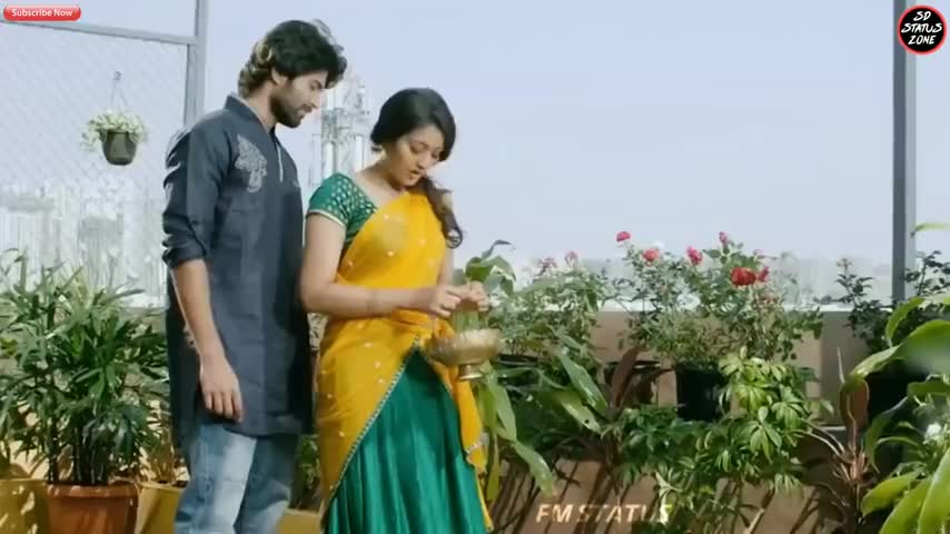 💖💖 New sweet Husband and wife romantic Whatsapp status video 30 Second SD STATUS ZONE 2019 💖💖