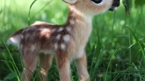 Top 5 cute animals baby that will made your day....