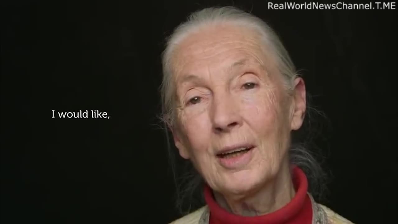 Jane Goodall: Would Love Nothing More Than To "Reduce The Number Of People On The Planet"