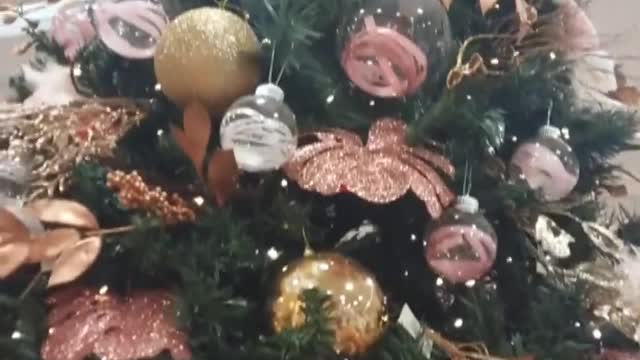 Christmas Trees Mom Kat