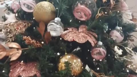 Christmas Trees Mom Kat