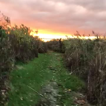 Path to Sunset Golf Ocean