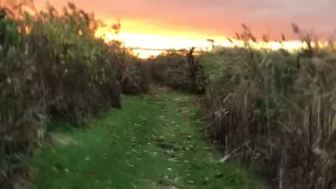 Path to Sunset Golf Ocean