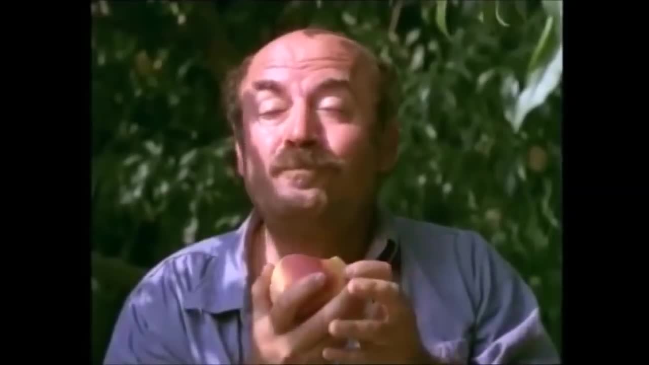 Ellines politikoi - KATHARMATA