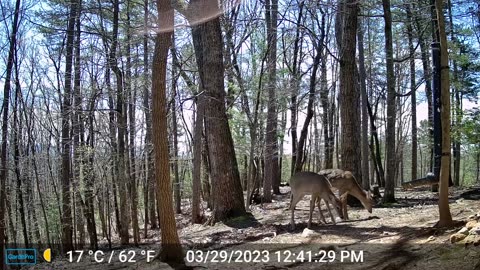 The Woods – 03/30/2023