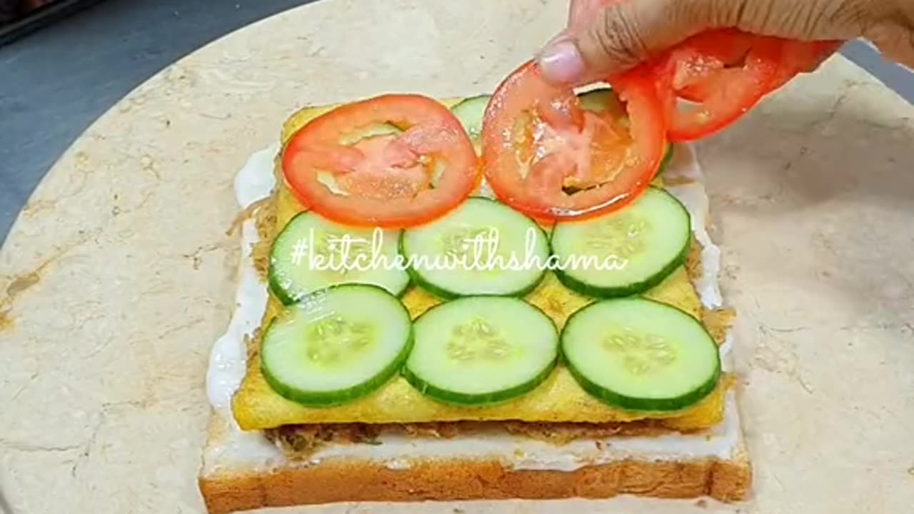 Shami kabab sandwich