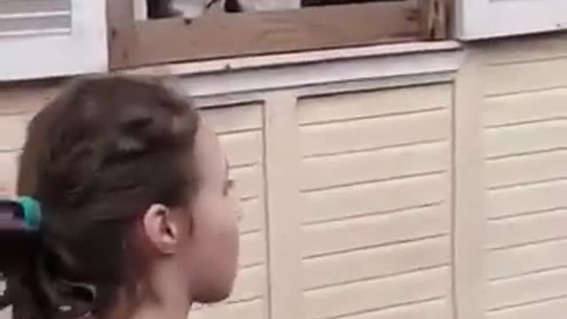 Our little cubs are eager to play with the ball