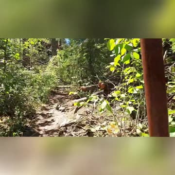 Cascade Falls near Grand Forks, BC