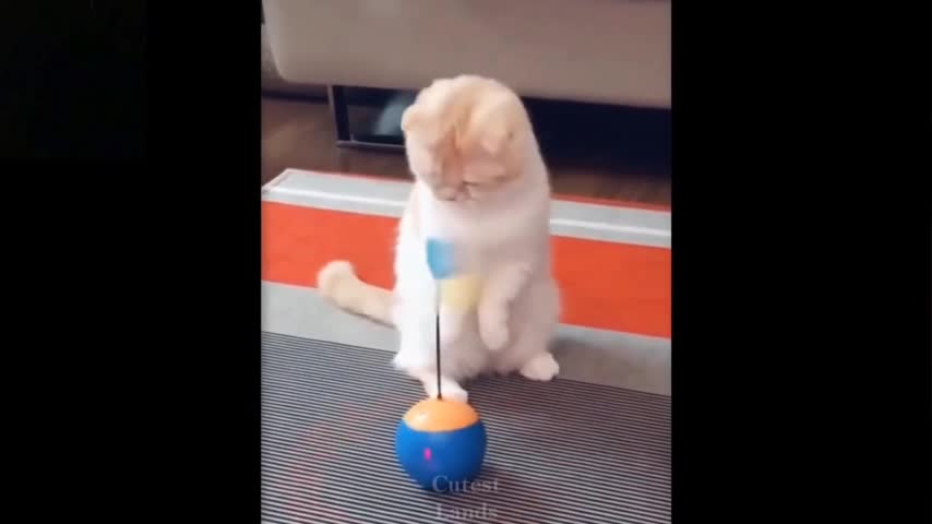 🤣 funniest🐶dogs😹cats_awesome funny pet animal videos