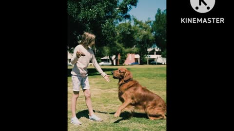 Rumble Shorts | Dog Video...🐕| #shorts # dogs