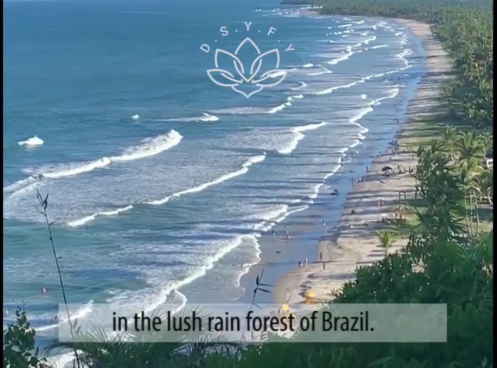 Yoga, Qigong, Mindfulness Teacher Training in Brazil