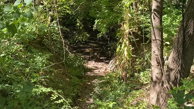 Franklin, Indiana’s Greenway Trail