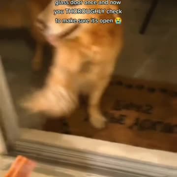 is it safe beyond the barrier start the day with confidence