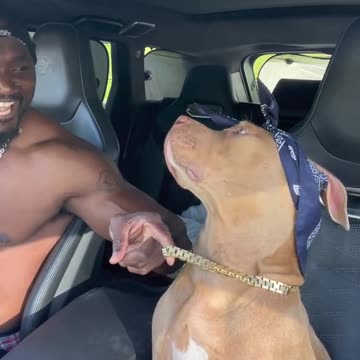 “Don't touch me Cláudio, enjoy the vibe”