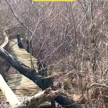 BOARDWALK DESTROYED!