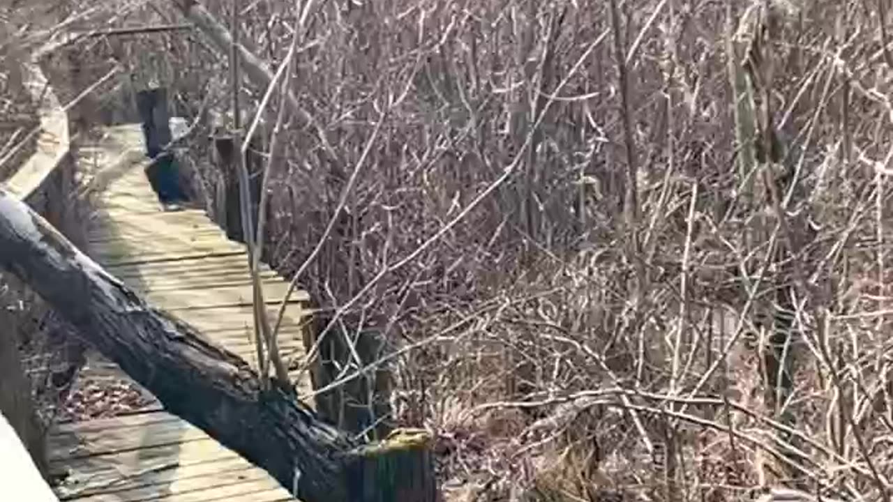 BOARDWALK DESTROYED!