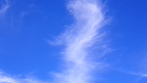Chemtrails 8/12/23: