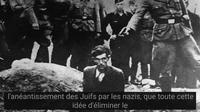 Holocaust denial and the different forms it takes