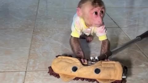 Monkey and Bunny Share Watermelon - Clean Up Time!