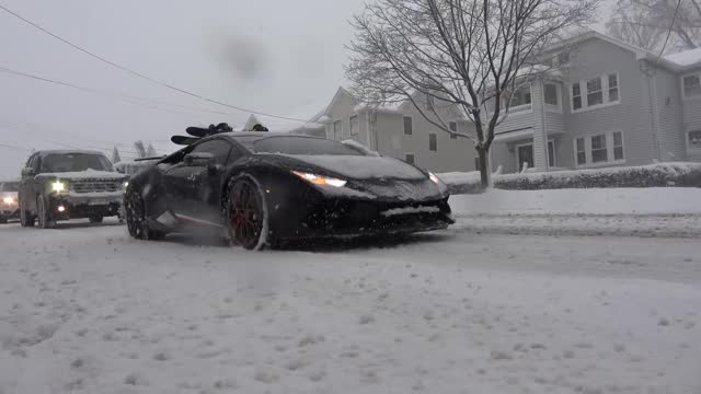 BEARDED LEGEND - UNIDENTIFIED [Lamborghini Snow Drift]