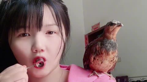 2023 best video