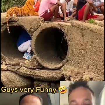 prank people are hanging out