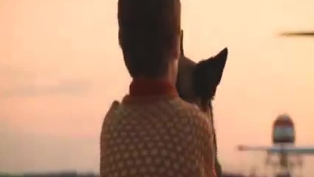 Heart touching story, Movie a dog named palma please don't abandoned dog 😭
