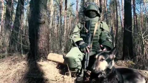 Military engineering troops’ units carry out mine-clearance operations in Chernigov Region