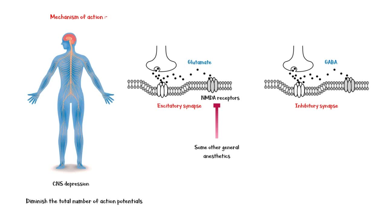 Propofol - Indications, Mechanism Of Action, Pharmacology, Adverse Effects, And Contraindications