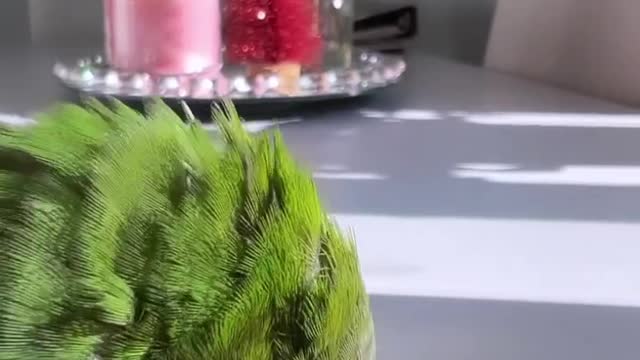 He's spoiled, I know 💚